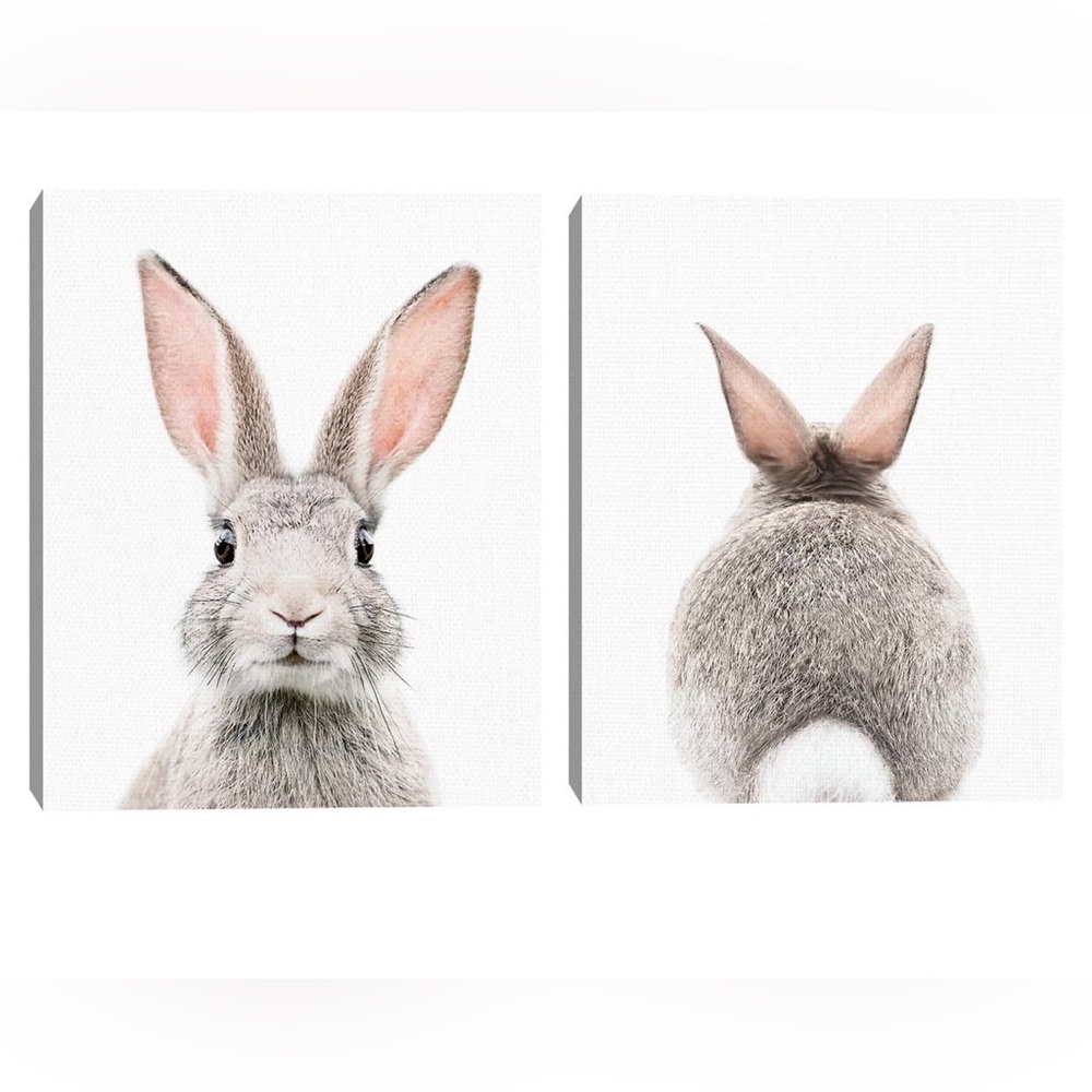 Baby Bunny Canvas Wall Art